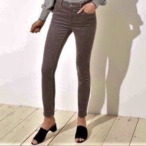 LOFT Modern Skinny Corduroy Pant NWT
